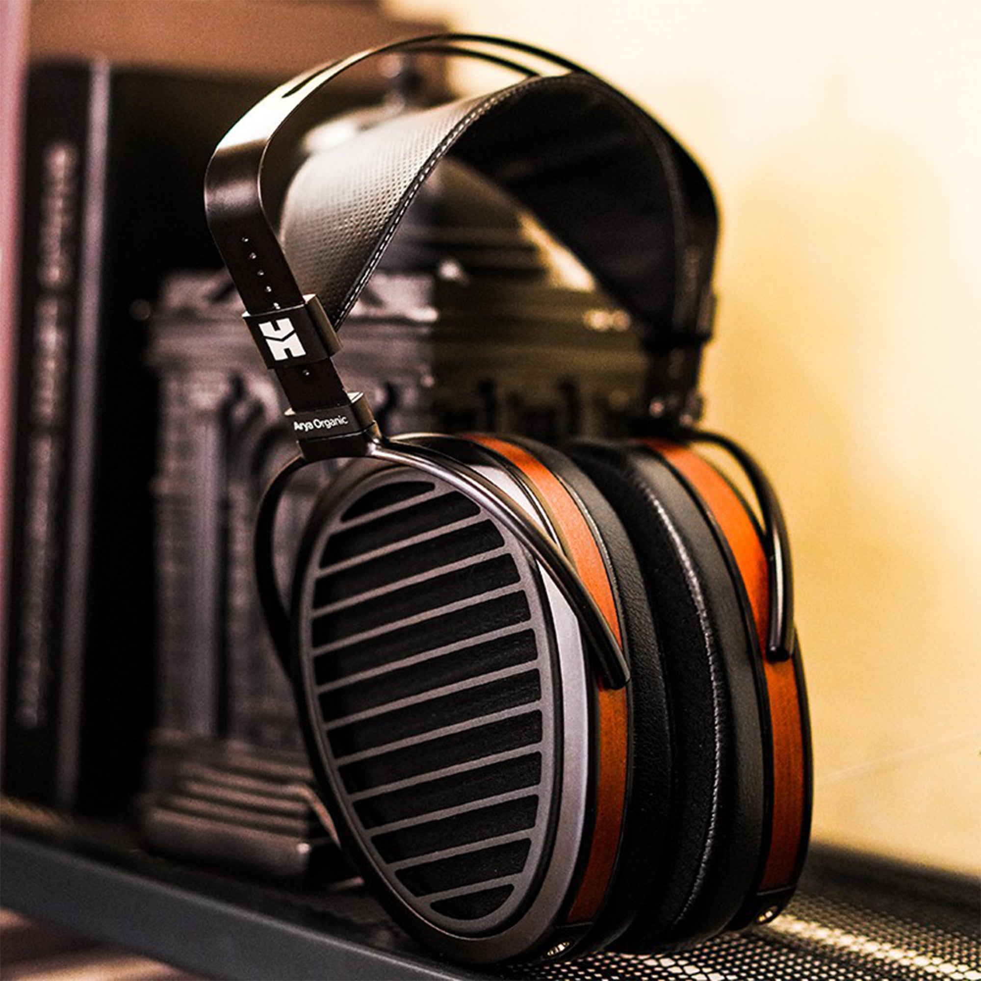 HIFIMAN Arya Organic Planar Magnetic Headphones – Addicted To Audio
