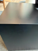 PERLISTEN Audio R10s Subwoofer [DEMO UNIT]