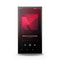 Astell&Kern PD10 Digital Audio Player