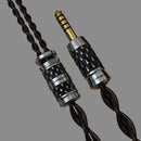Canpur CP104E In-Ear Monitors