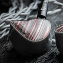 Canpur CP752B In-Ear Monitors