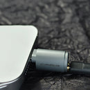 Canpur Silver Flash In-Ear Monitors