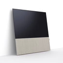 Canvas 55" Speaker