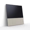 Canvas 55" Speaker
