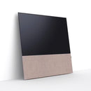 Canvas 55" Speaker