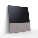 Canvas 55" Speaker