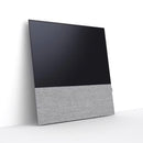 Canvas 55" Speaker