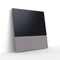 Canvas 55" Speaker