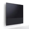 Canvas 65" Speaker