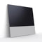 Canvas 65" Speaker