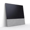 Canvas 65" Speaker