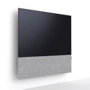 Canvas 65" Speaker