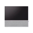 Canvas 65" Speaker
