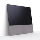 Canvas 65" Speaker