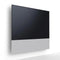 Canvas 75" Speaker