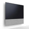 Canvas 75" Speaker