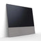 Canvas 75" Speaker