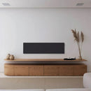 Canvas SOLO Speaker