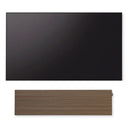 Canvas SOLO Speaker
