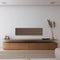 Canvas SOLO Speaker