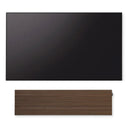Canvas SOLO Speaker
