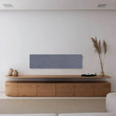 Canvas SOLO Speaker