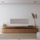 Canvas SOLO Speaker
