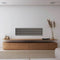 Canvas SOLO Speaker