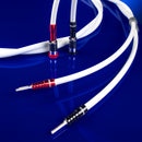 Chord Sarum T Speaker Cable (Pair)