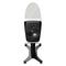 Dynaudio Confidence 20A Standmount Speakers Includes Stand