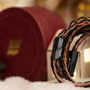 Effect Audio Christmas Limited Edition Bundle - DIONYSUS x Eros S II