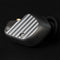 Final A10000 Flagship In-Ear Monitors