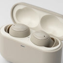 Final ZE500 for ASMR TWS Earphones