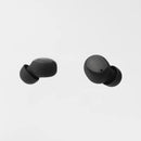 Final ZE500 for ASMR TWS Earphones