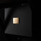 Goldmund  APOLOGUE SPECIAL EDITION Active Wireless Speaker