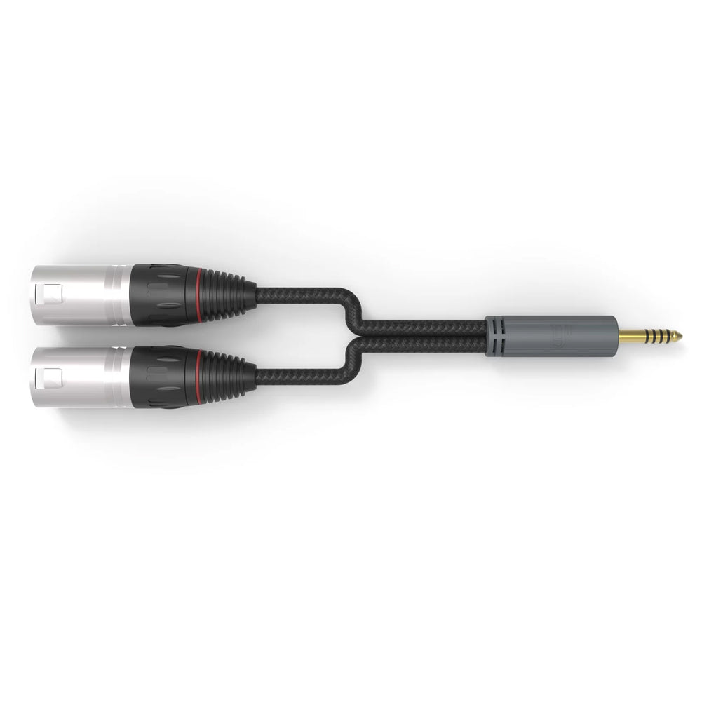 iFi Audio 4.4mm to XLR Cable Standard Edition – Addicted To Audio