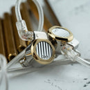 Letshuoer DX1 In-Ear Monitors