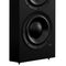 Lyngdorf DW-10 Passive In-Wall Woofer