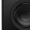 Radiant Acoustics Clarity 6.2 Bookshelf Speakers