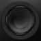 Radiant Acoustics Clarity 6.2 Bookshelf Speakers