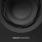 Radiant Acoustics Clarity 6.2 Bookshelf Speakers