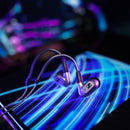 Sennheiser IE 200 Silver Edition In Ear Monitors