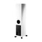 Dynaudio Xeo 30 Wireless Floorstanding Speaker