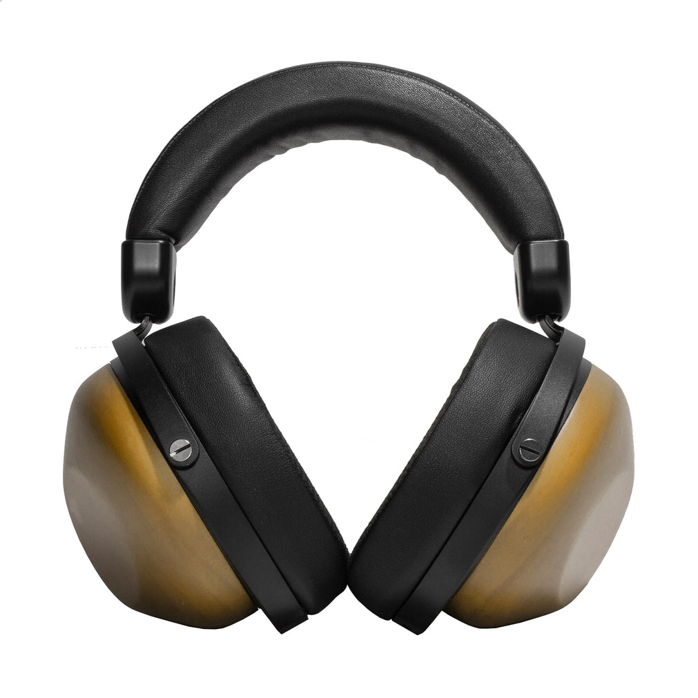 HIFIMAN HE-R10D Closed-Back Headphones – Addicted To Audio