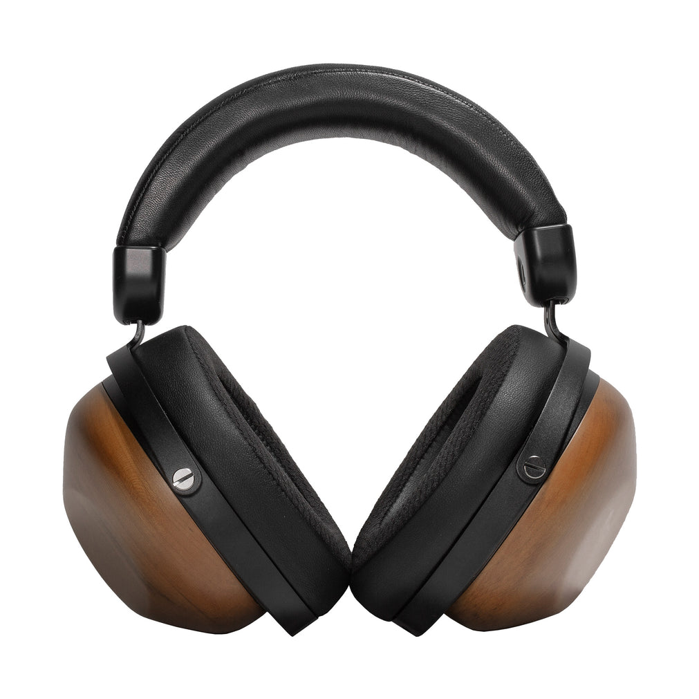 HIFIMAN HE-R10P Closed-Back Planar Magnetic Headphones – Addicted