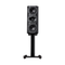 PERLISTEN Audio S5m Monitor Speaker